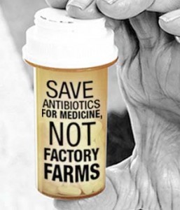 imageDec06GT459Antibiotic