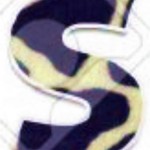 S.-2jpg
