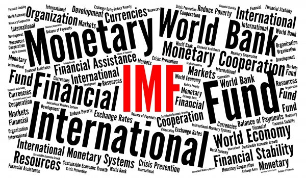 How to Get the International Monetary Fund to Think.