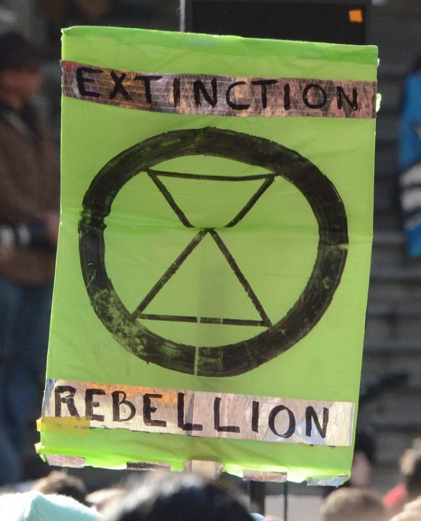 Extinction Rebellion scientists: why we glued ourselves to a government department