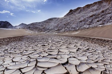 The Left and Ecology: An Increasingly Necessary Relationship