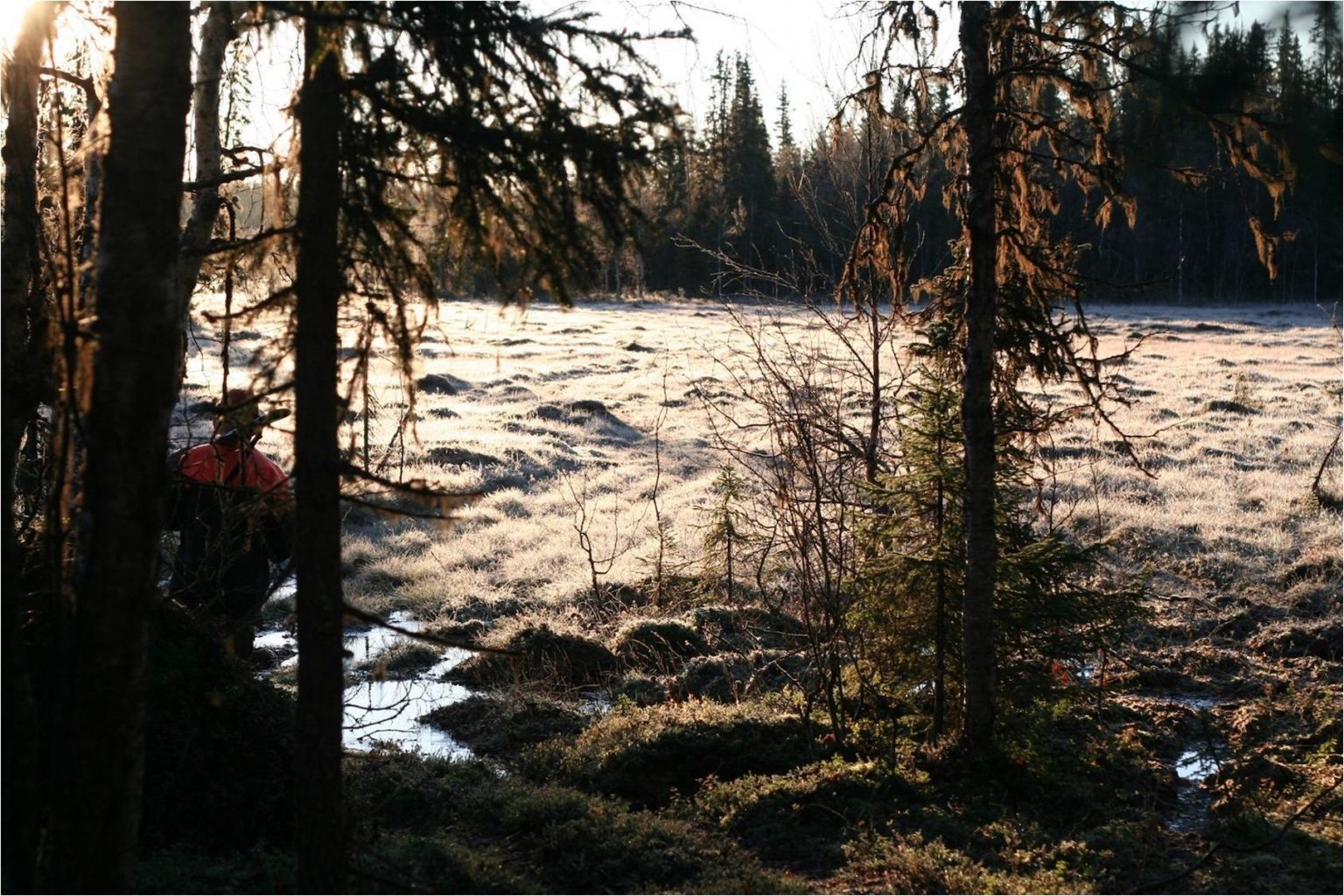 The Sámi Environmental Programme