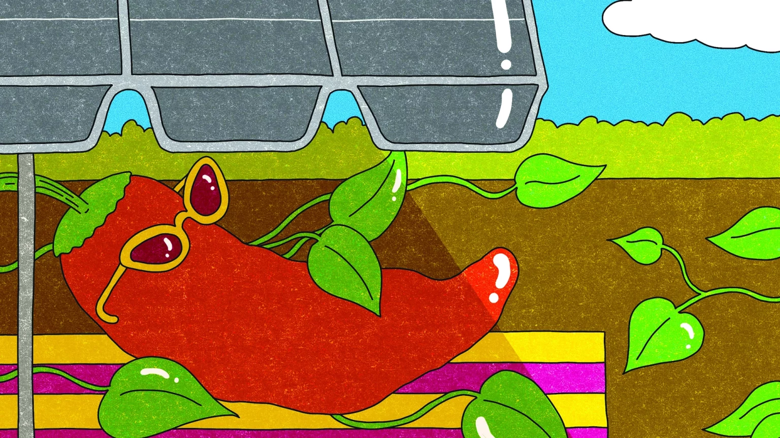 Agrivoltaics: The Farm-to-Solar Trend That Can Help Accelerate the Renewable Energy Transition