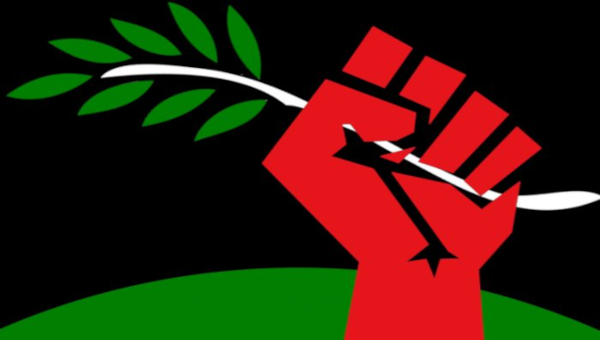 A Socialist Green New Deal