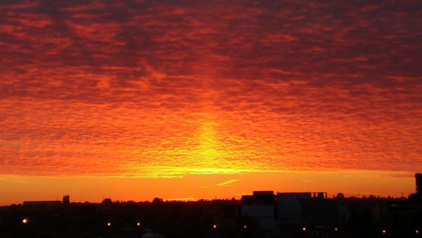 The Inconvenient Truth of COP27