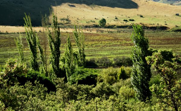 Rewilding’s Green Utopia is Just for Posh Landowners