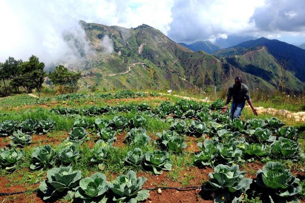 Colonialism Created Food Insecurity in Haiti, Now Climate Change Compounds It