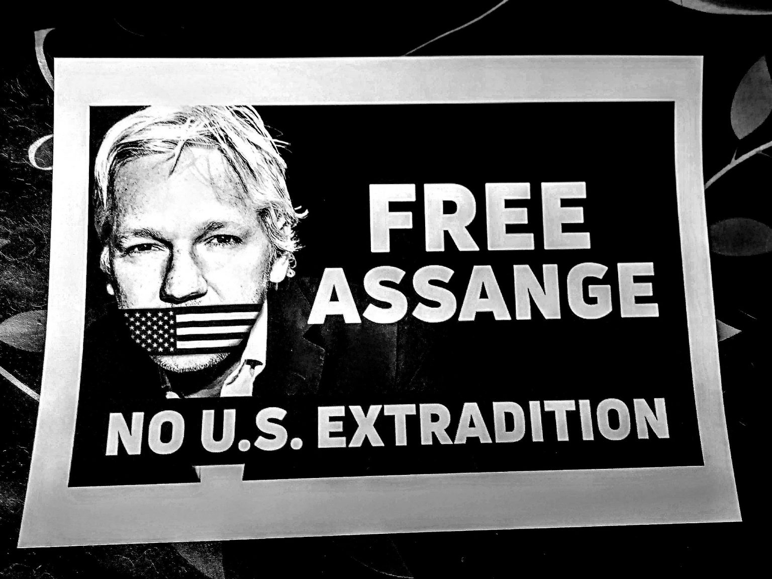 U.S. Official Hints at Possible Plea Deal for Julian Assange