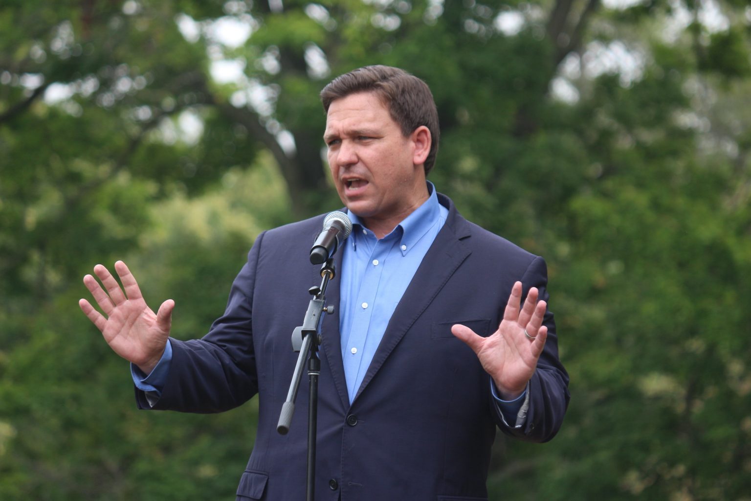 Donald Trump and Ron DeSantis