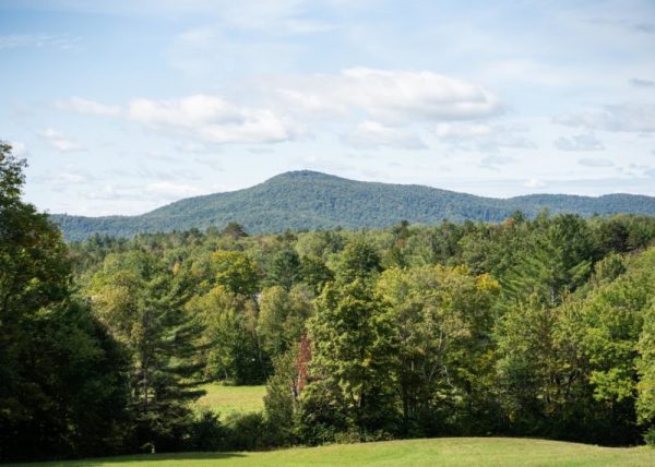 Can Small Family Forests Make a Big Climate Difference?