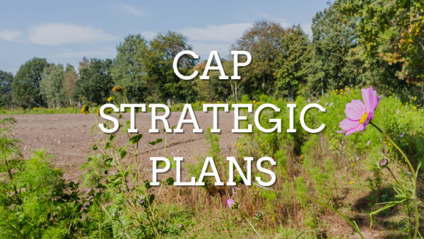 CAP Environmental Derogations: What is the Impact on Food Security?
