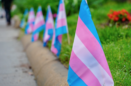 What It Means to Prepare for the Future of Trans Health Care Under Trump