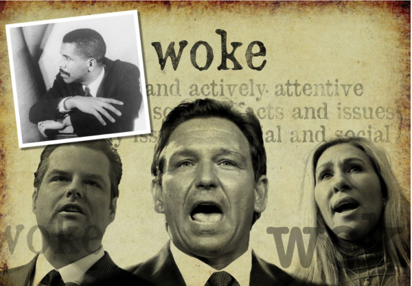 Woke Misconception and Actual “Snowflakes”