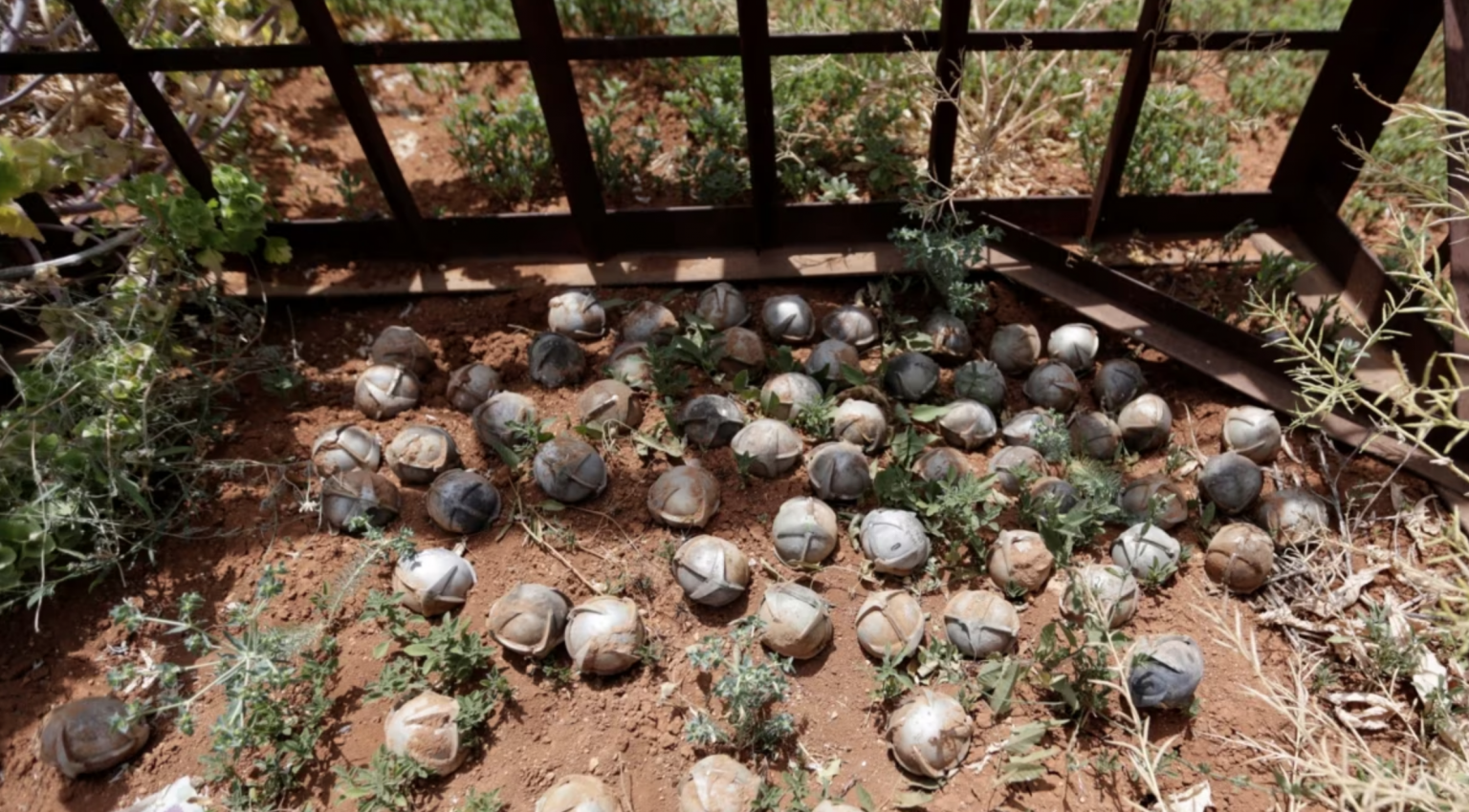 Stop Biden from Sending Cluster Bombs to Ukraine