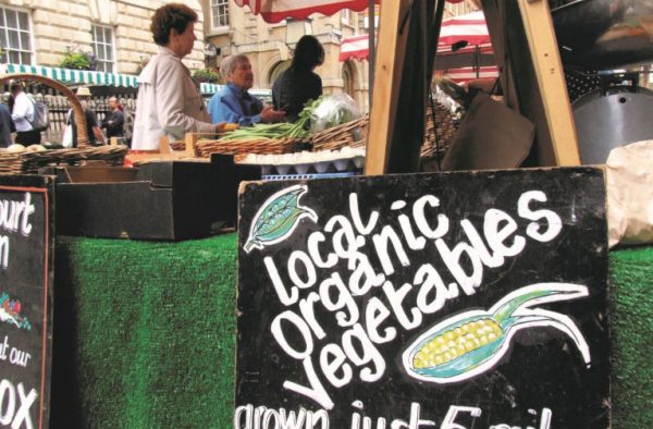 The Future is Now: Rethinking Public Ownership