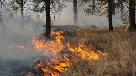Climate Overheating: A Story About Capitalism, Refugees, and the Working Class