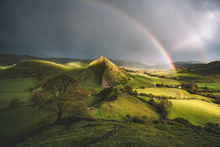 The Courage to Be: Adapting to Unknowability in a Dangerous World