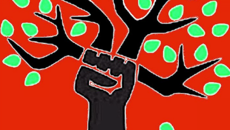 Revolution?