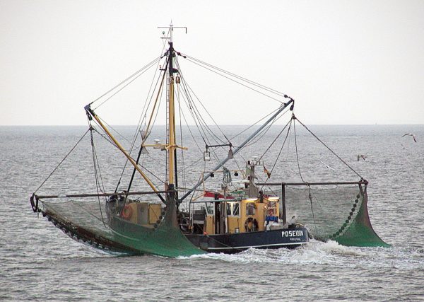 How We Found Out What’s Done to the Oceans When Nobody Is Watching