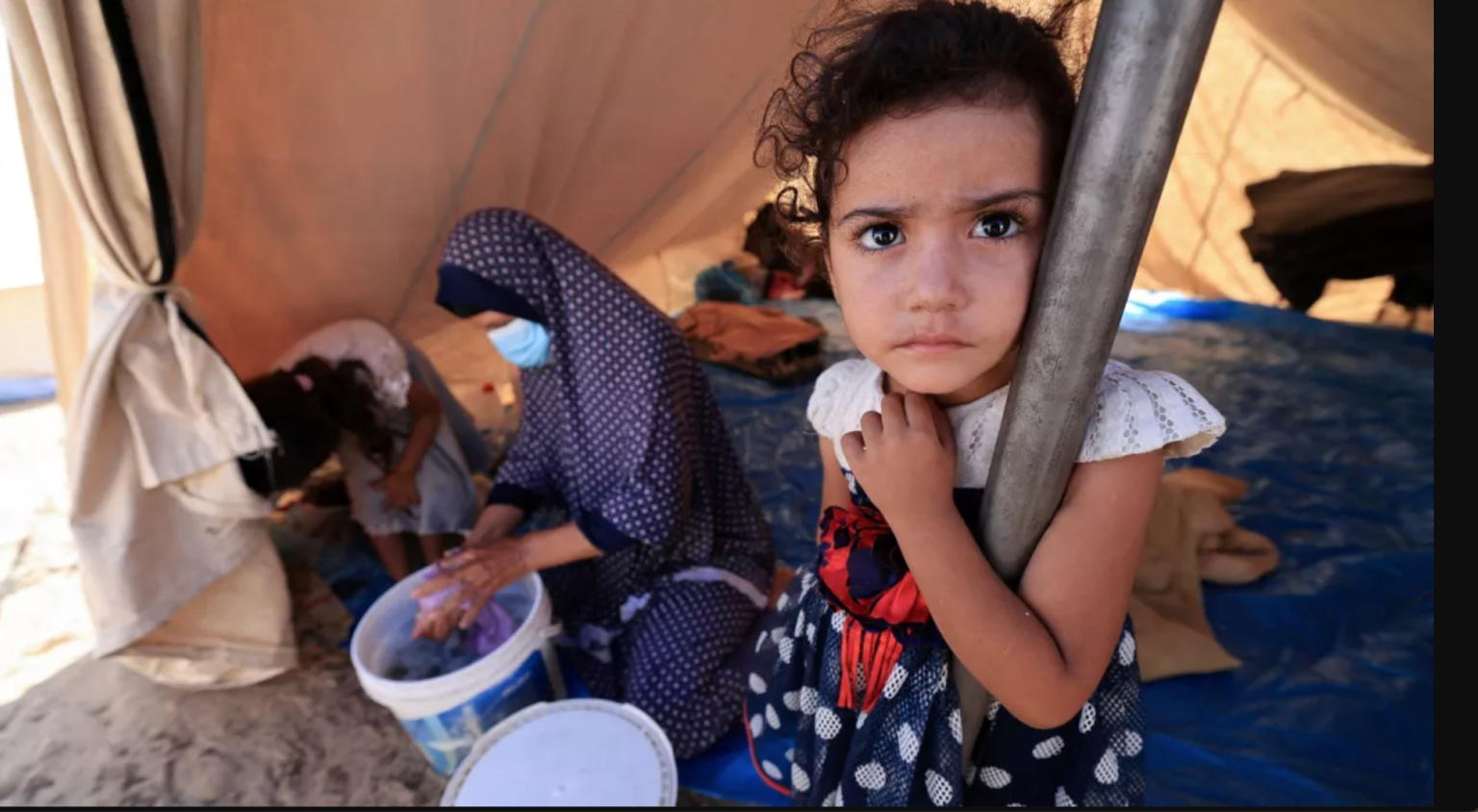 Arundhati Roy on Gaza: N̶e̶v̶e̶r̶ Again