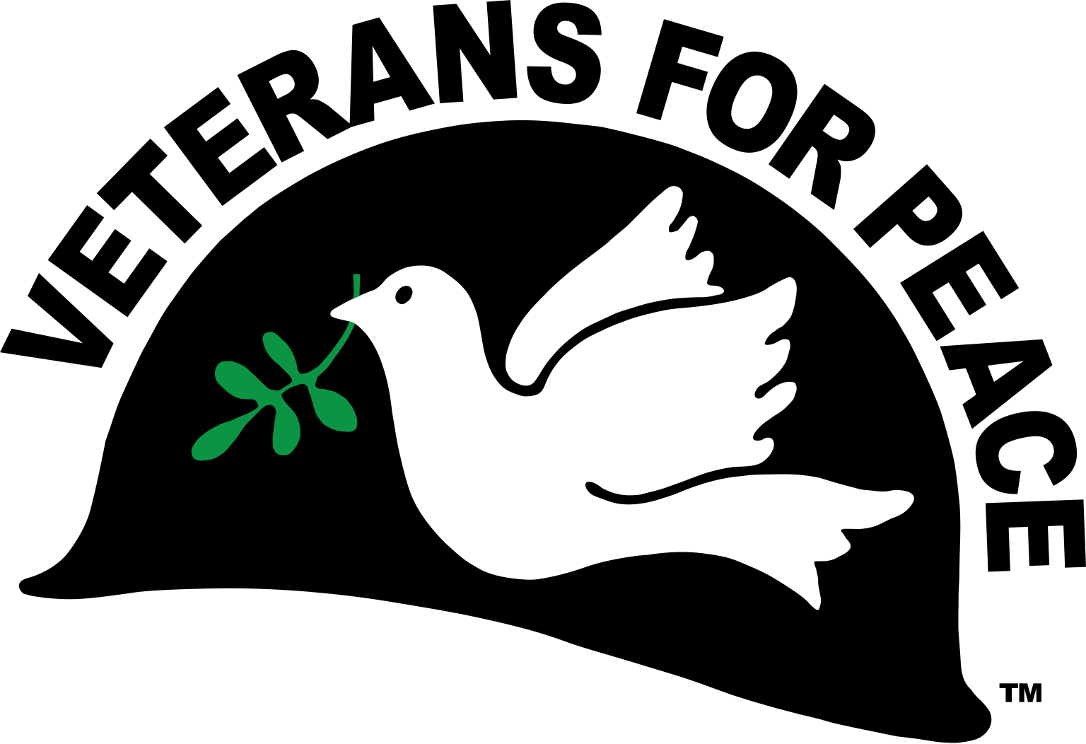 Madmen Arsonists Strike Again: Statement from Veterans For Peace about Aaron Bushnell