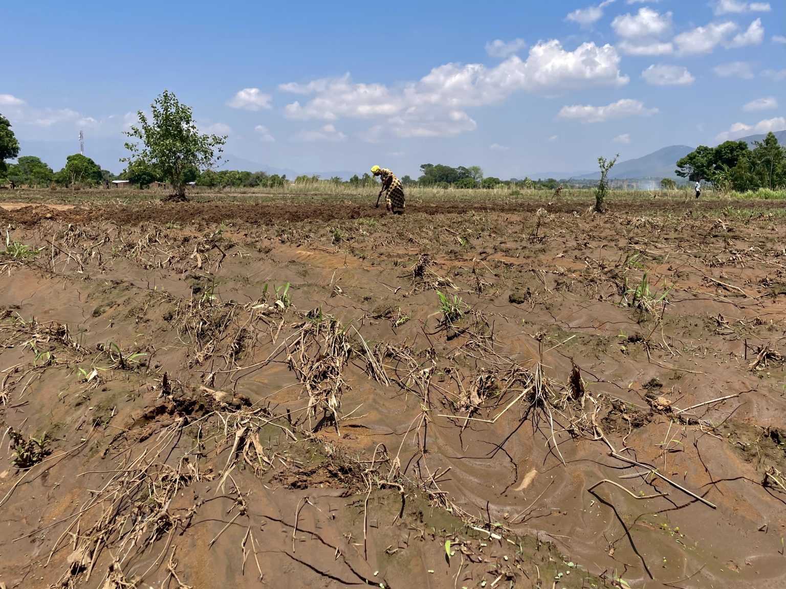 Malawi’s Farmers Face a Precarious Future From Climate Change-Related Storms