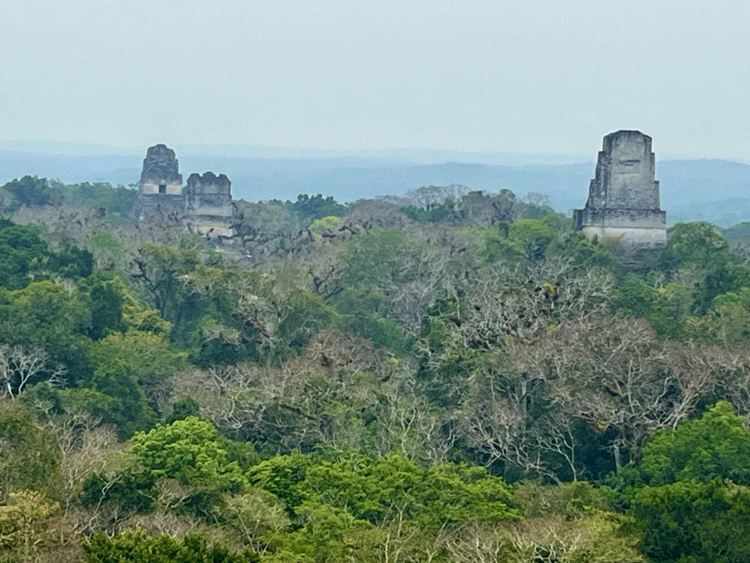 Beyond Kingdoms and Empires