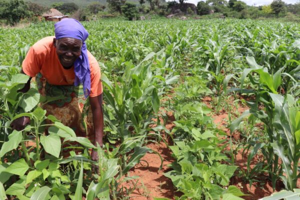 Saving Seeds for Climate Justice