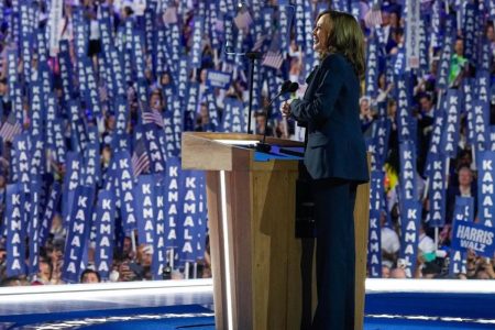 Message from the DNC: The Democrats Do Not Care About Palestinians
