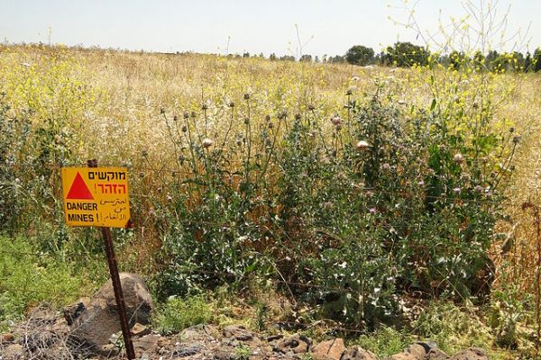 War Forever, Everywhere