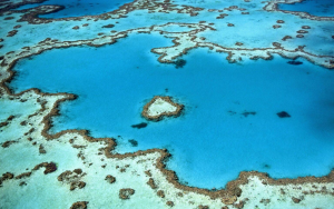 Photo of the Great Barrier Reef