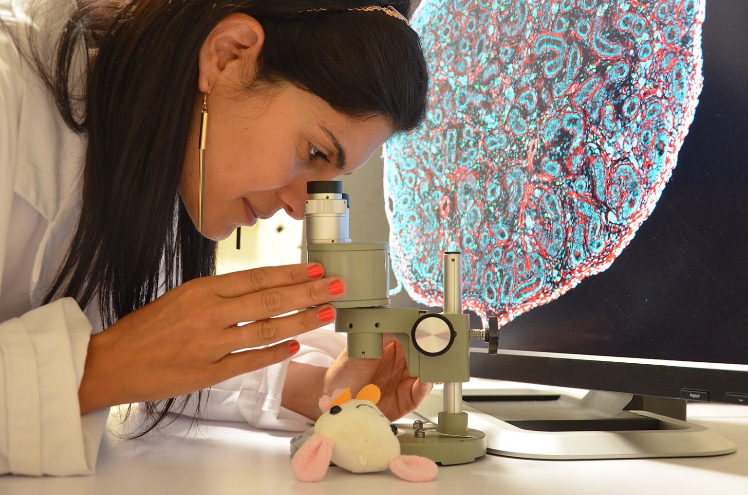 Fascism, the War on Complexity, and the End of Science