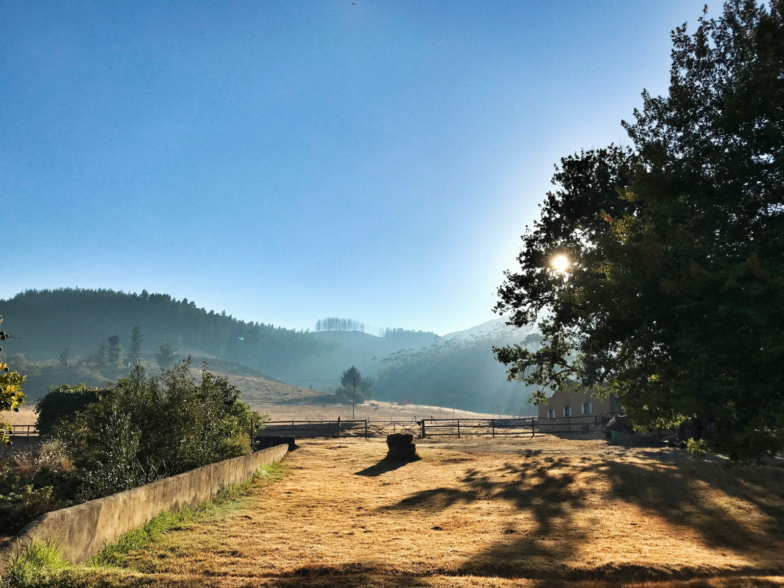 Race, Power, and the Politics of Distraction