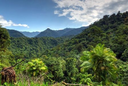 Ecuador: Rights of Nature on Paper ā The Case of Sarayaku