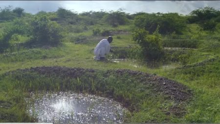 The Train of Regeneration: Green Peace for the Oases from Béchar to Tindouf