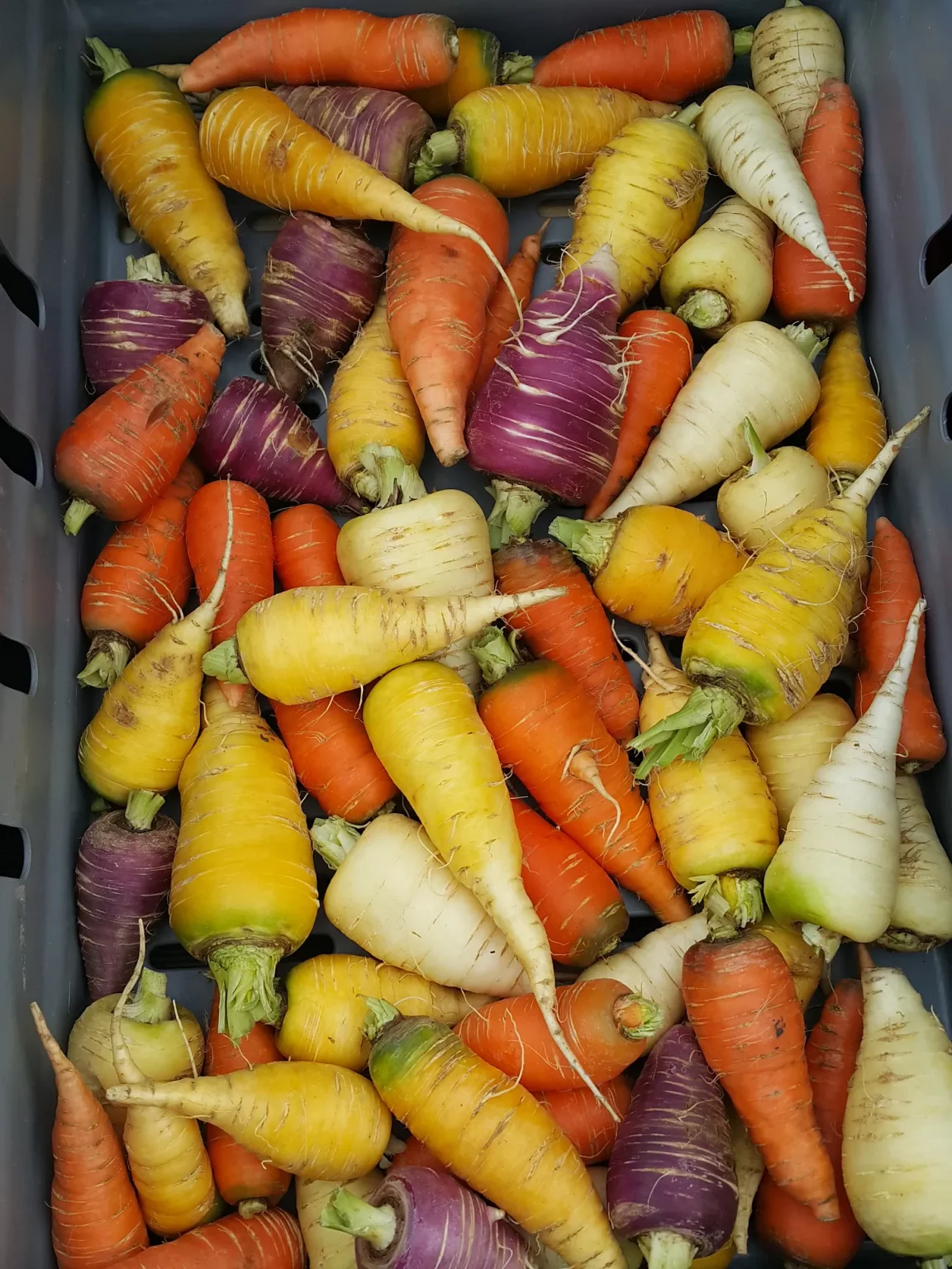 The Consumer Power Myth