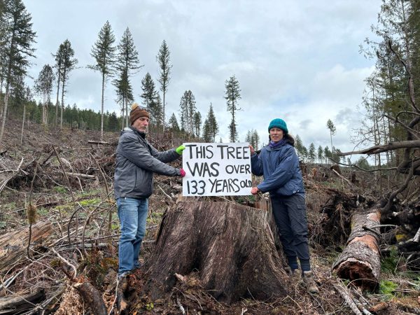 Forest Protectors Launch Tree Sit and Lawsuits to Stop Ecocidal Logging in WA