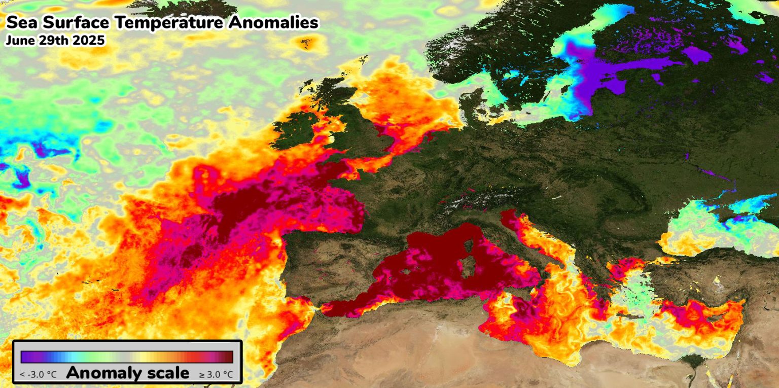 Neofascism and Climate Change
