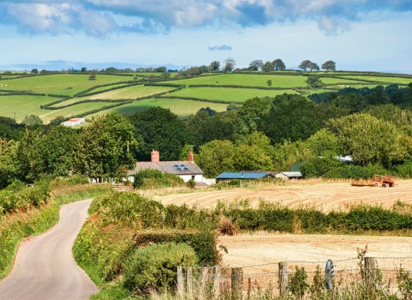 Dreaming of A Small Fashion Farm