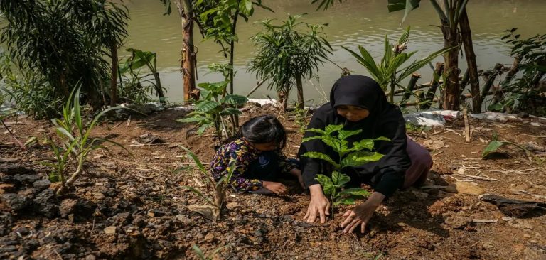 ‘Green Islam’: How Muslims Are Powering Environmental Action Across the World