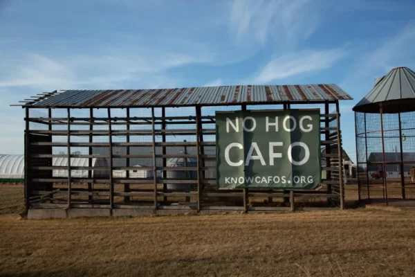 Wisconsin Notches a Win Against Big Ag—For Now