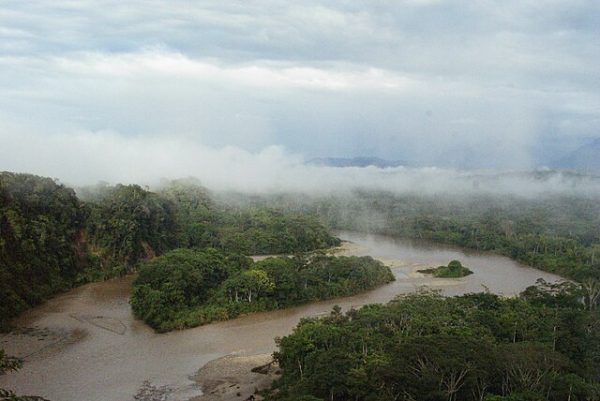 Amazon Oil Licence Threatens Communities and Climate Commitments Ahead of COP30