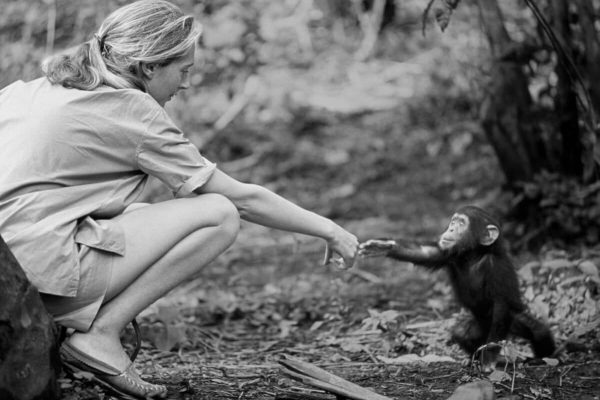 Jane Goodall: “Fight to the Very End”