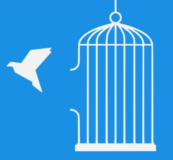 NDP 2026, a Blueprint For a Generation