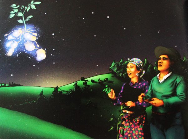 Mapuche Resistance, a Beacon of Hope in Chile