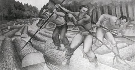 Homo Stultus: The Case For Renaming Ourselves