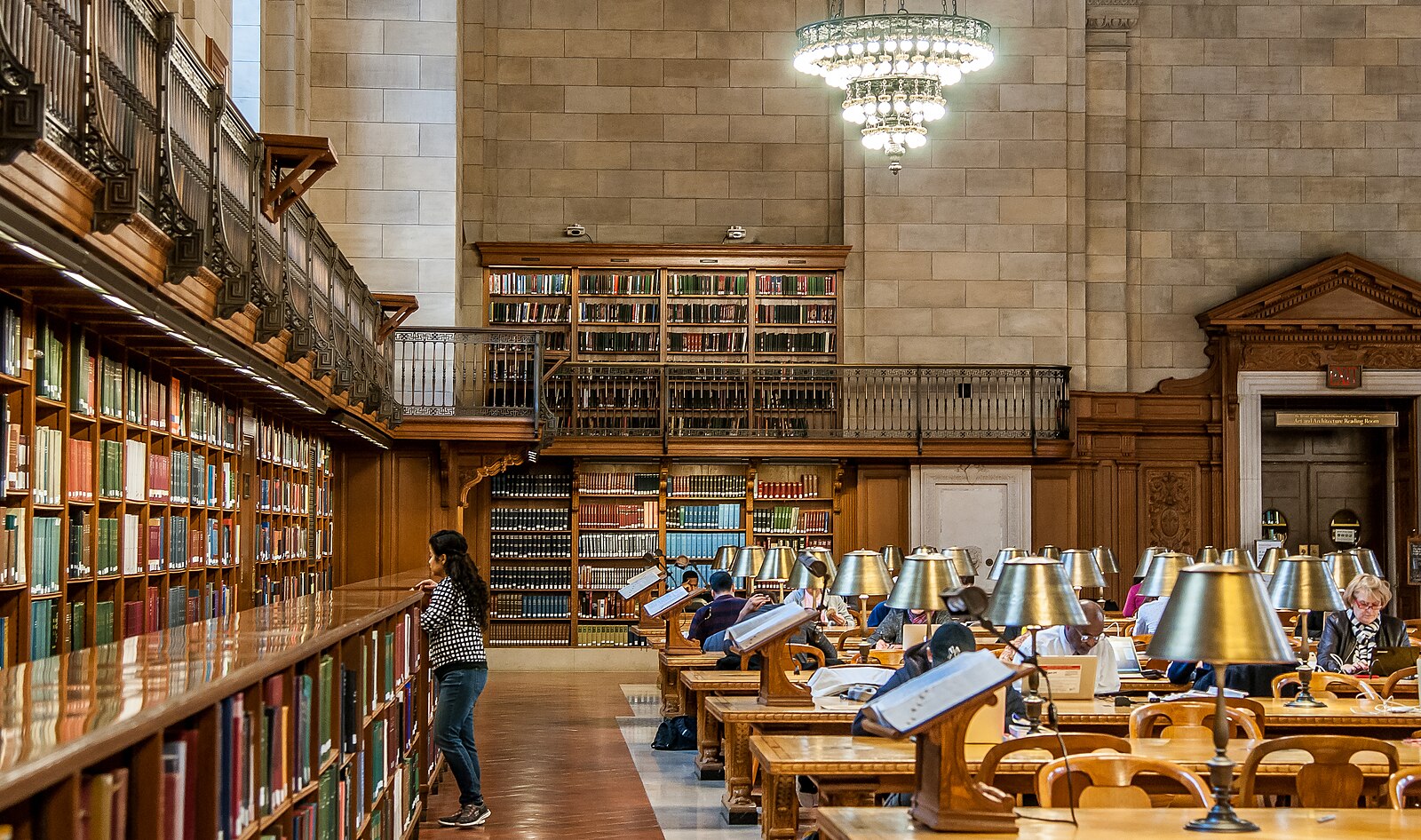 Declining Reading Habits Threaten U.S. Democracy and Social Connection