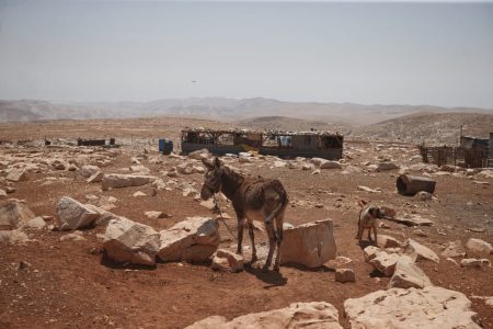 The Past Year Has Seen an Unprecedented Displacement of Palestinian Communities in the West Bank