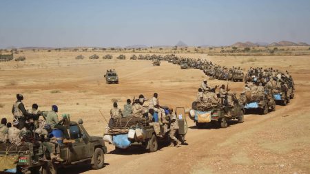 Why the EU Must Designate RSF Militia a Terrorist Group