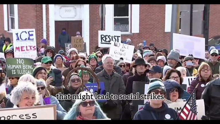 How to Defeat MAGA Tyranny, Chapters 5 & 6: Timelines and Organization